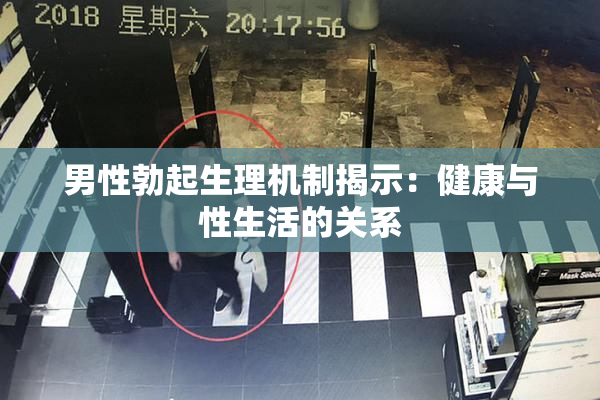 男性勃起生理机制揭示：健康与性生活的关系