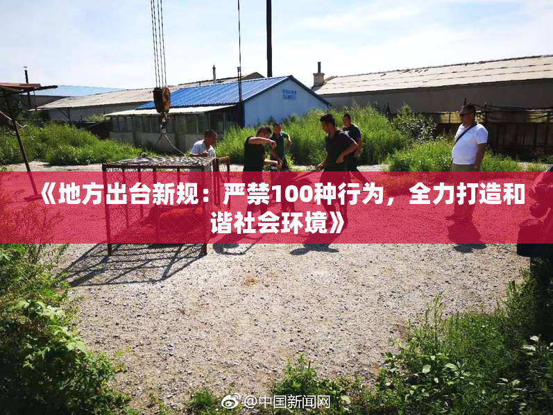 《地方出台新规：严禁100种行为，全力打造和谐社会环境》