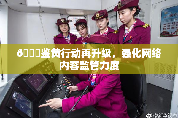 🔞鉴黄行动再升级，强化网络内容监管力度