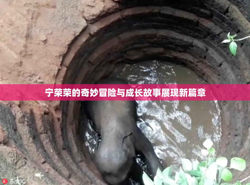 宁荣荣的奇妙冒险与成长故事展现新篇章
