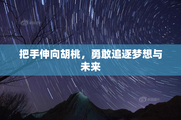 把手伸向胡桃，勇敢追逐梦想与未来