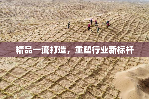精品一流打造，重塑行业新标杆