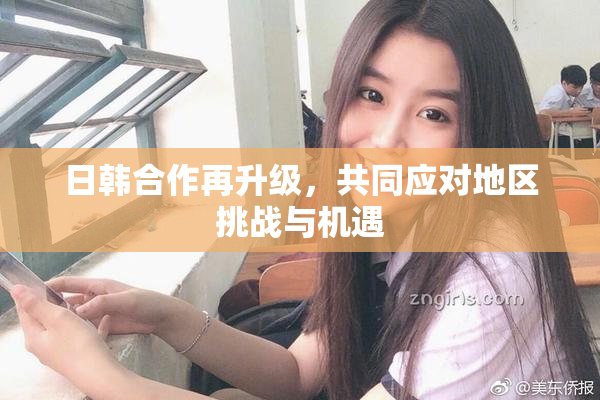 日韩合作再升级，共同应对地区挑战与机遇