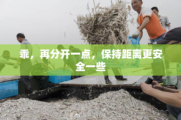 乖，再分开一点，保持距离更安全一些