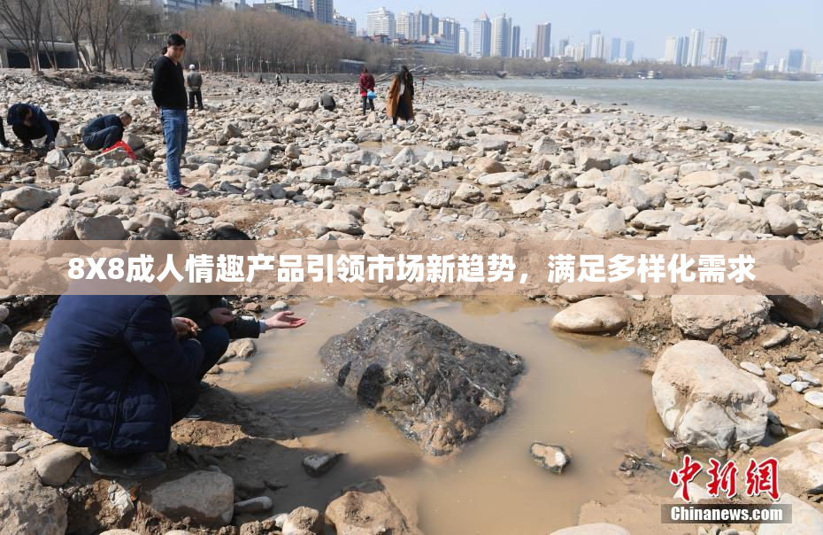 8X8成人情趣产品引领市场新趋势，满足多样化需求