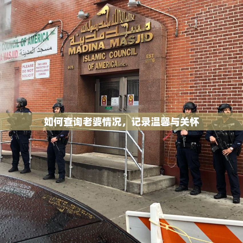 如何查询老婆情况，记录温馨与关怀