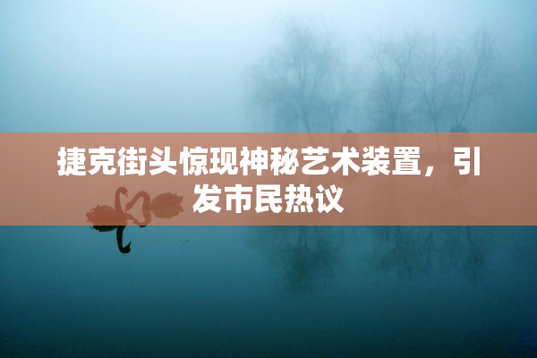 捷克街头惊现神秘艺术装置，引发市民热议