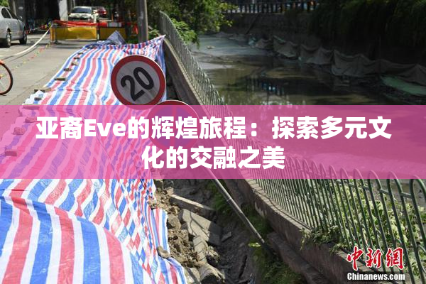 亚裔Eve的辉煌旅程：探索多元文化的交融之美