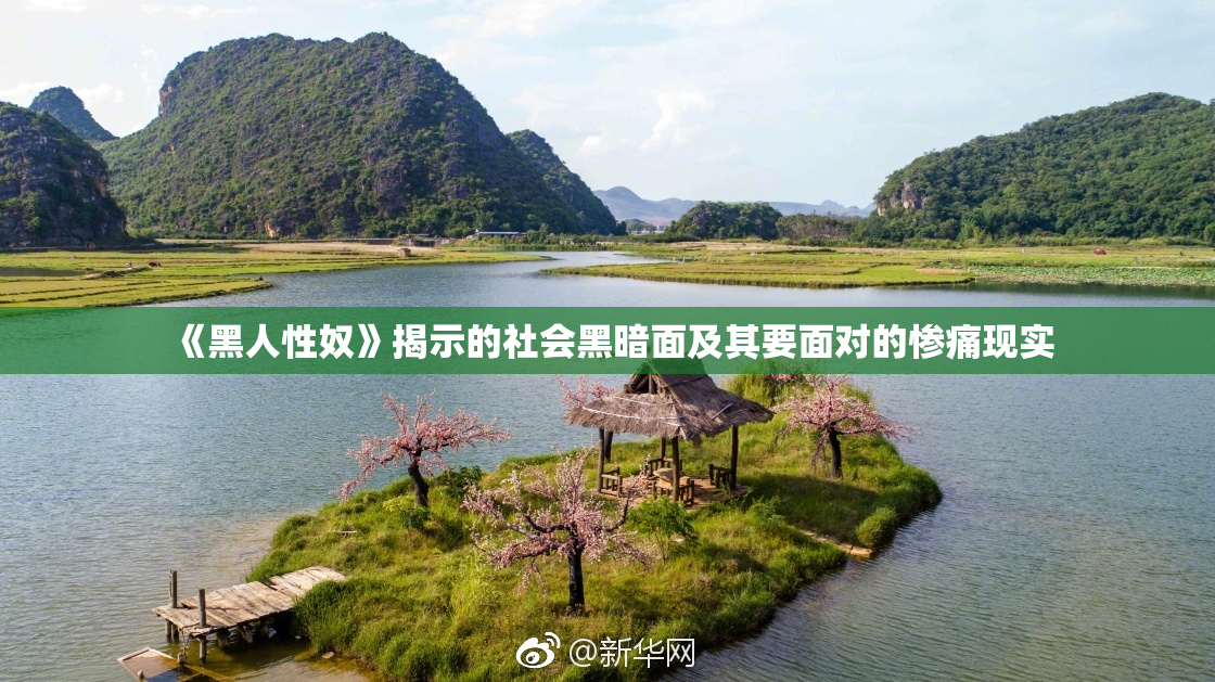 《黑人性奴》揭示的社会黑暗面及其要面对的惨痛现实