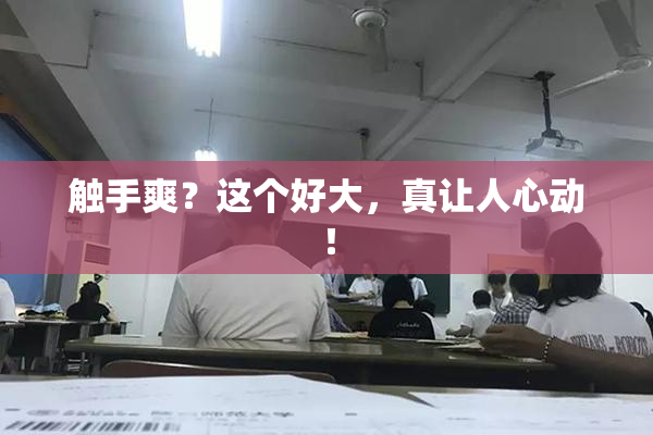 触手爽？这个好大，真让人心动！