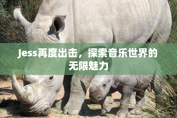 Jess再度出击，探索音乐世界的无限魅力