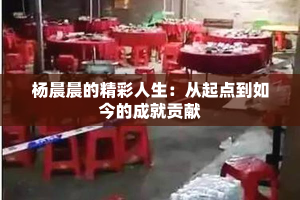 杨晨晨的精彩人生：从起点到如今的成就贡献