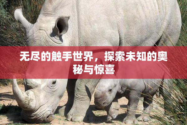 无尽的触手世界，探索未知的奥秘与惊喜