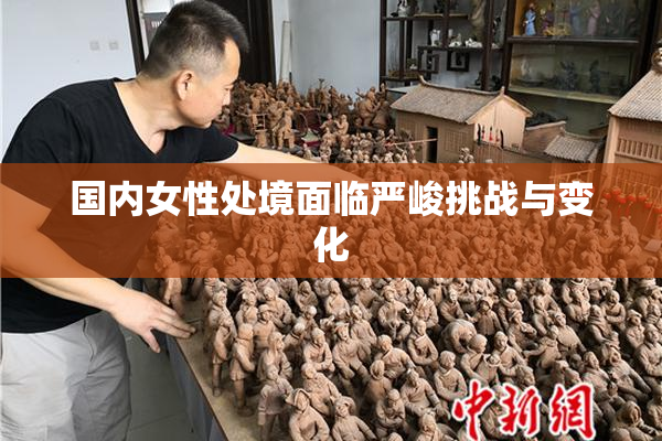 国内女性处境面临严峻挑战与变化