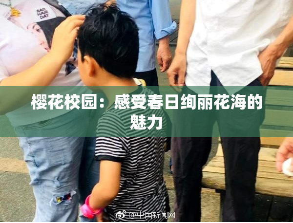 樱花校园：感受春日绚丽花海的魅力