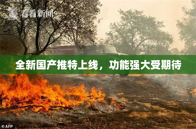 全新国产推特上线，功能强大受期待