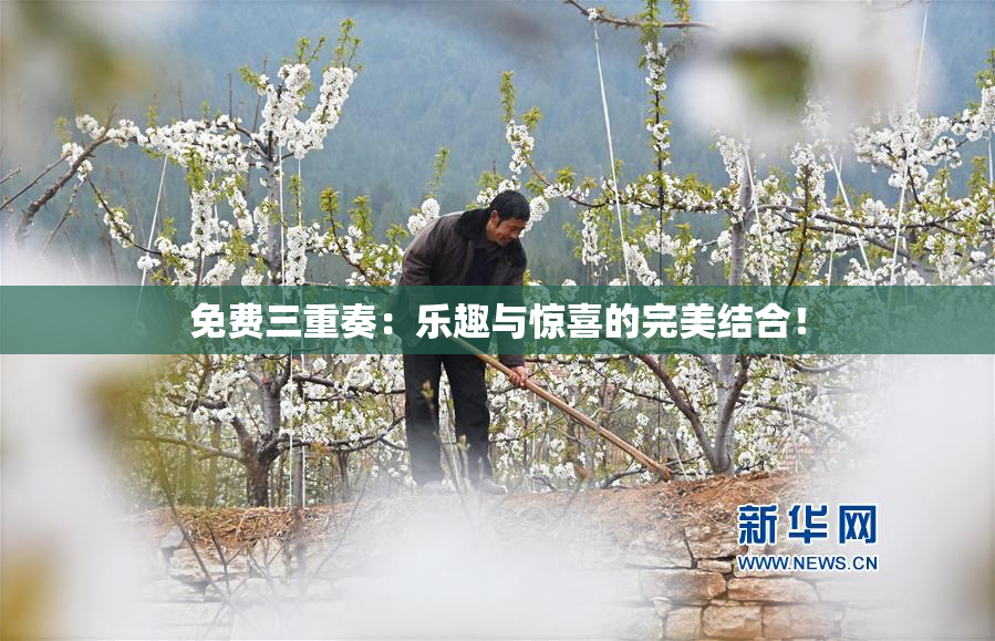 免费三重奏：乐趣与惊喜的完美结合！