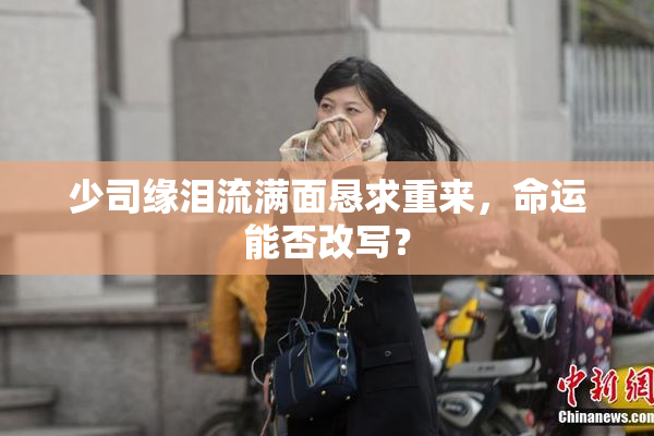 少司缘泪流满面恳求重来，命运能否改写？