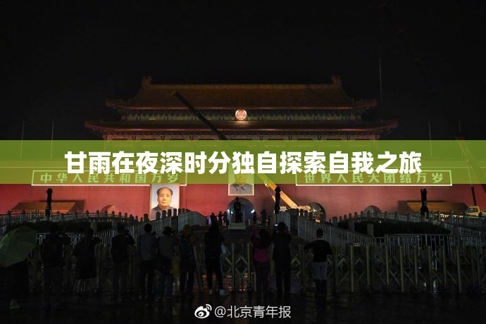 甘雨在夜深时分独自探索自我之旅