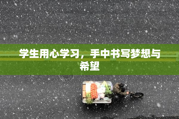 学生用心学习，手中书写梦想与希望