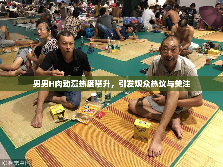 男男H肉动漫热度攀升，引发观众热议与关注