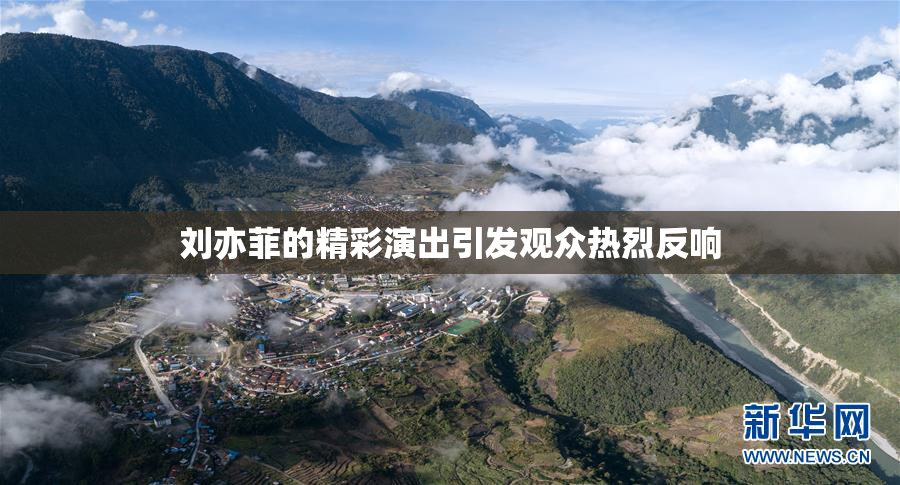 刘亦菲的精彩演出引发观众热烈反响