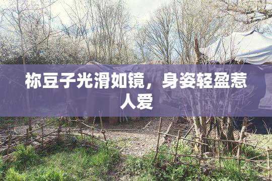 祢豆子光滑如镜，身姿轻盈惹人爱