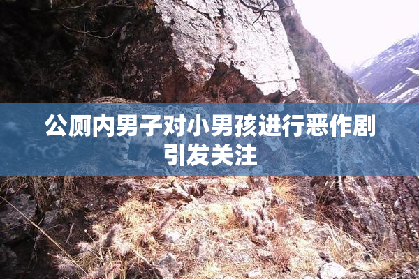 公厕内男子对小男孩进行恶作剧引发关注