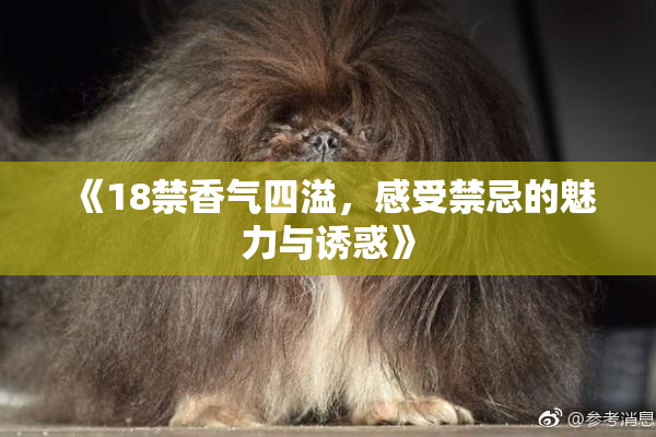 《18禁香气四溢，感受禁忌的魅力与诱惑》