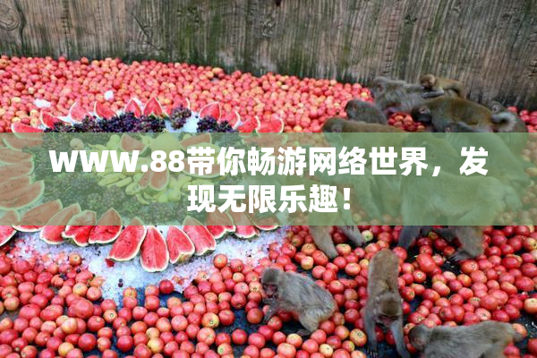 WWW.88带你畅游网络世界，发现无限乐趣！