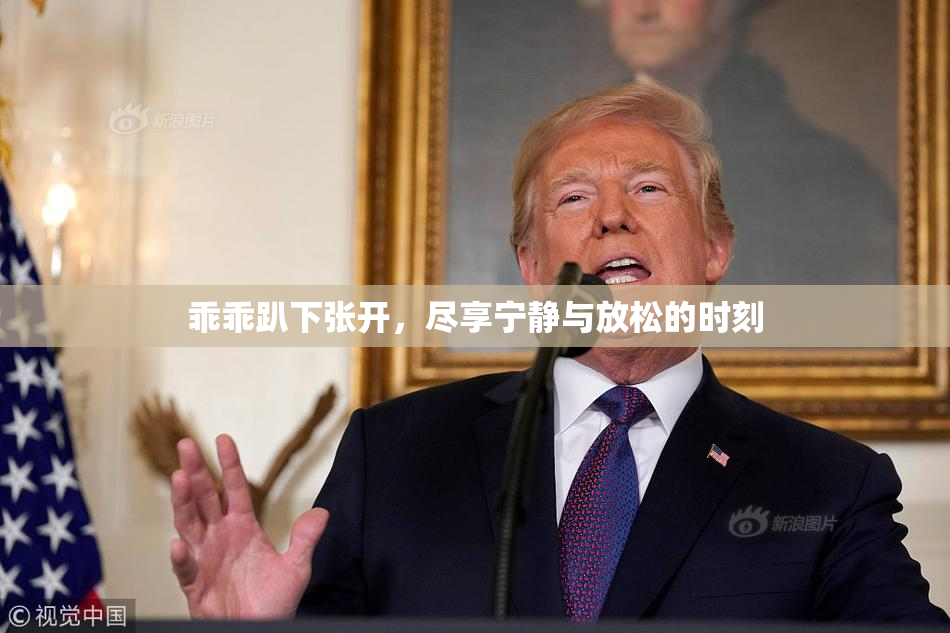 乖乖趴下张开，尽享宁静与放松的时刻