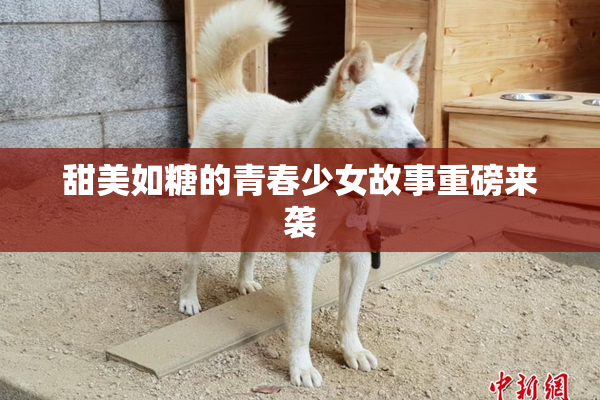 甜美如糖的青春少女故事重磅来袭