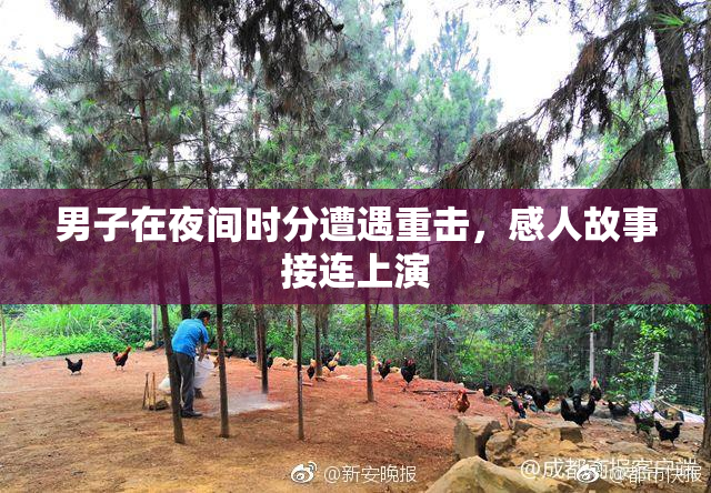 男子在夜间时分遭遇重击，感人故事接连上演