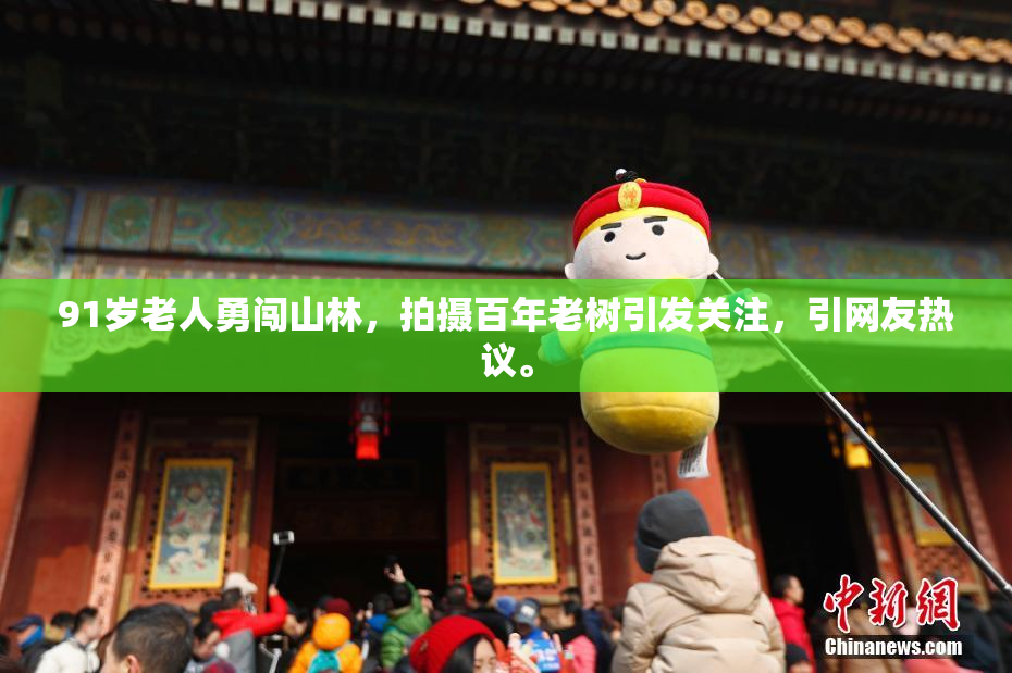 91岁老人勇闯山林，拍摄百年老树引发关注，引网友热议。