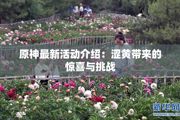 原神最新活动介绍：涩黄带来的惊喜与挑战