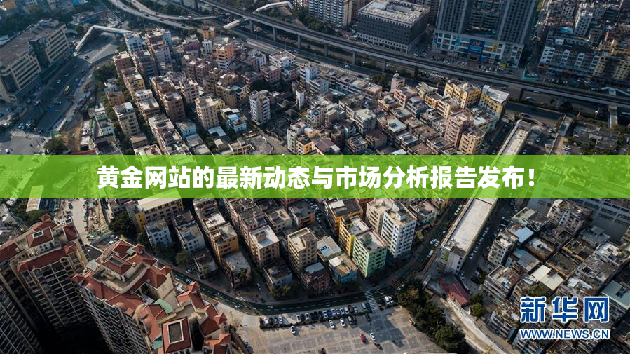 黄金网站的最新动态与市场分析报告发布！
