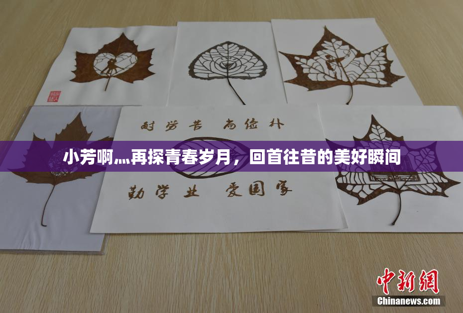 小芳啊灬再探青春岁月，回首往昔的美好瞬间