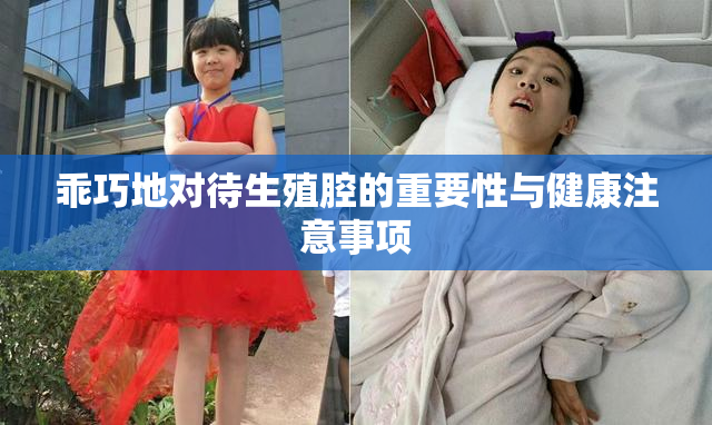乖巧地对待生殖腔的重要性与健康注意事项