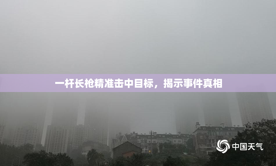 一杆长枪精准击中目标，揭示事件真相
