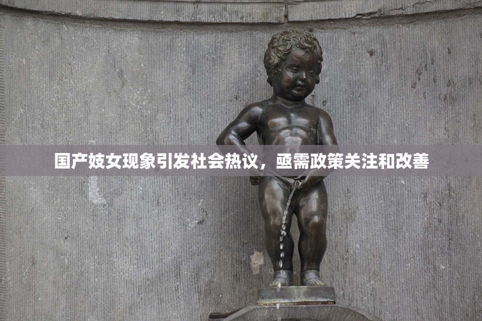 国产妓女现象引发社会热议，亟需政策关注和改善