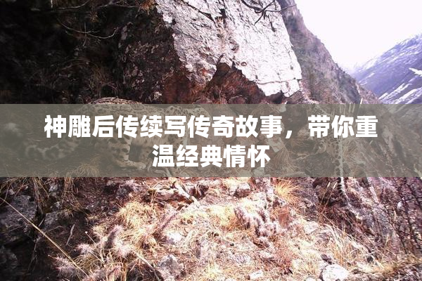 神雕后传续写传奇故事，带你重温经典情怀