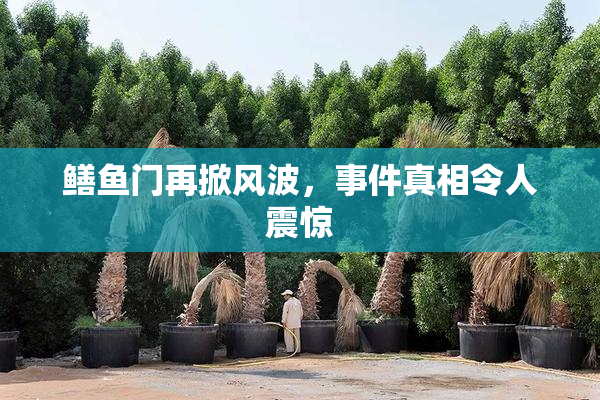 鳝鱼门再掀风波，事件真相令人震惊