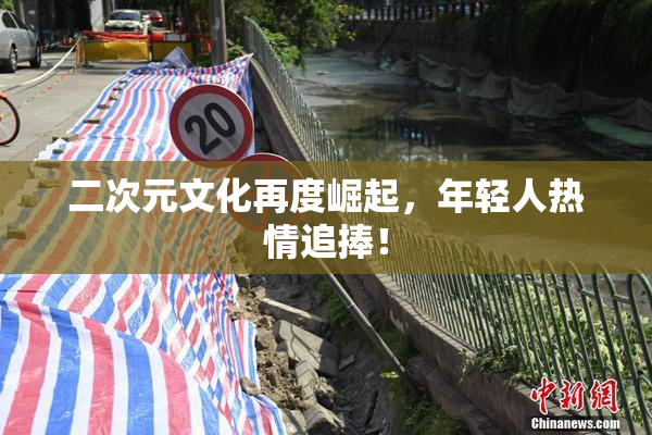 二次元文化再度崛起，年轻人热情追捧！