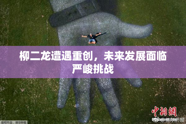 柳二龙遭遇重创，未来发展面临严峻挑战