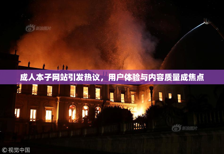 成人本子网站引发热议，用户体验与内容质量成焦点
