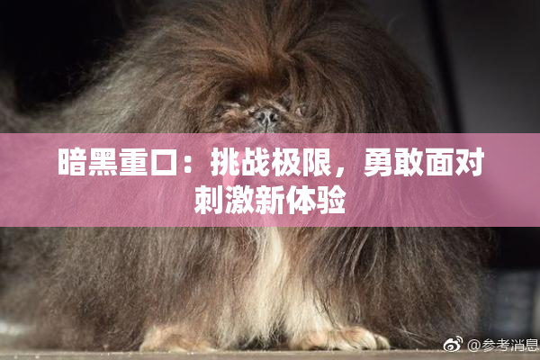 暗黑重口：挑战极限，勇敢面对刺激新体验