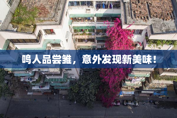 鸣人品尝雏，意外发现新美味！