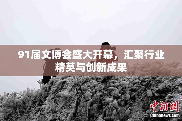 91届文博会盛大开幕，汇聚行业精英与创新成果