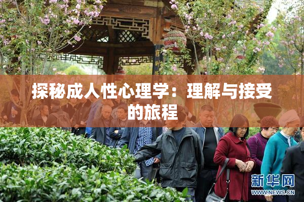 探秘成人性心理学：理解与接受的旅程