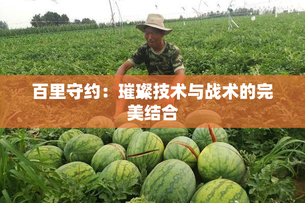 百里守约：璀璨技术与战术的完美结合